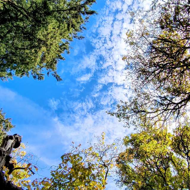Photos météo à Plate-forme. Prévisions météo avec de superbes photos de BijanZ