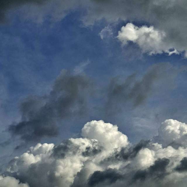 Photos Mouton. Prévisions météo avec de superbes photos de Wen-ya Huang de Kaohsiung