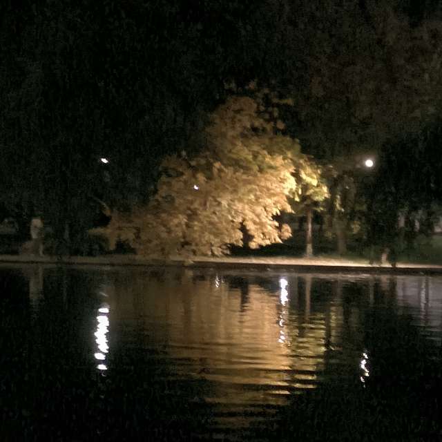 Fotos del Puente. Pronósticos del tiempo con hermosas fotos de YanBog en București