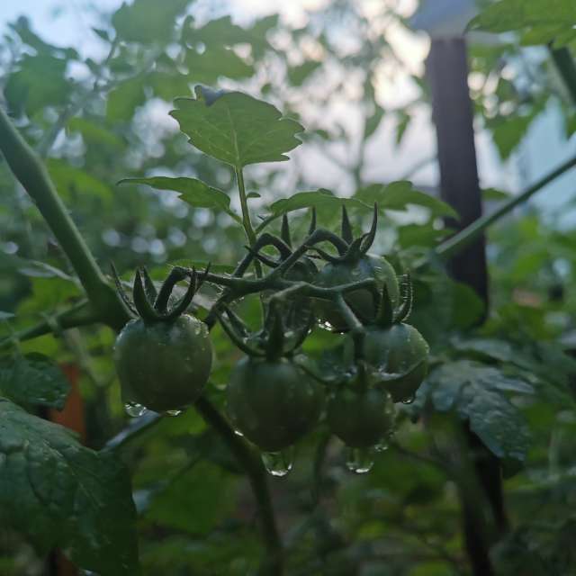 Previsões do tempo com lindas fotos de AtomAntonio