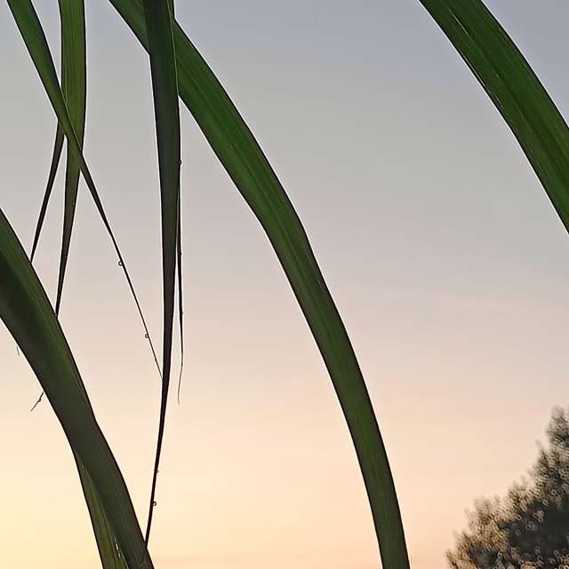 Previsões do tempo com lindas fotos de Muschelschloss