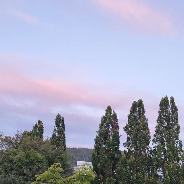Riding. Weather forecasts with beautiful photos by Tercis Photos in Ettlingen