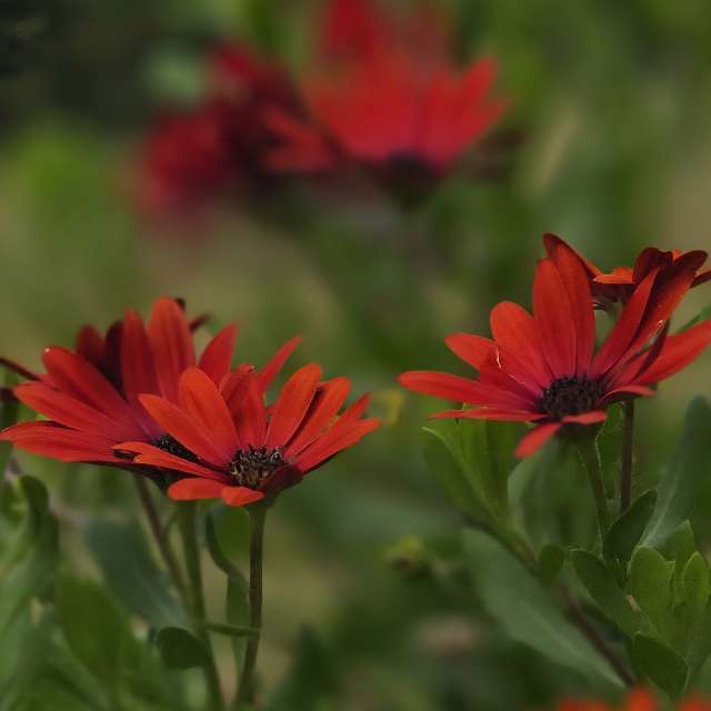 Innen. Wettervorhersagen mit schönen Fotos von Hela Fotos Bayern