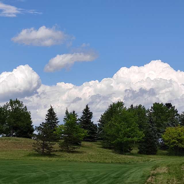 Weide. Wettervorhersagen mit schönen Fotos von Kripo Fotos Niederösterreich