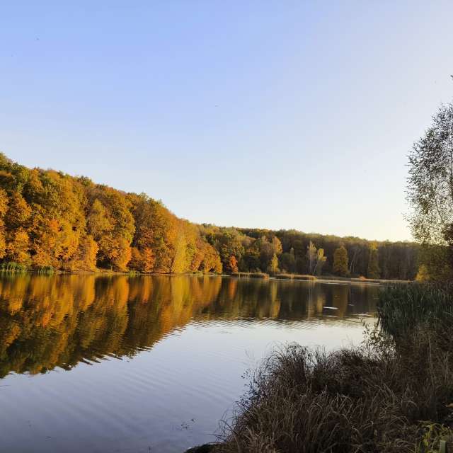 Riding. Weather forecasts with beautiful photos by Aleksei Photos in Tula