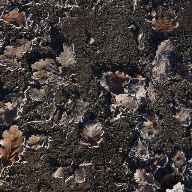 Previsões do tempo com lindas fotos de Vasek325