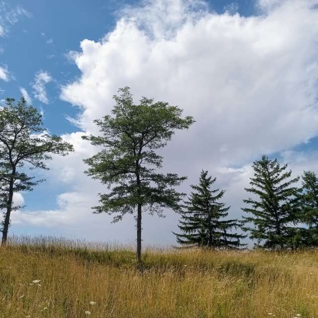 Weather forecasts with beautiful photos by Kripo