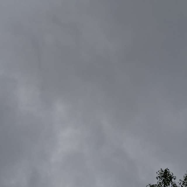 天气预报，带Wen-ya Huang精美的照片
