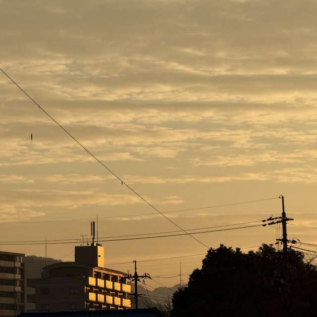 Fotos Arame. Previsões do tempo com lindas fotos de あさのジジ em Okayama