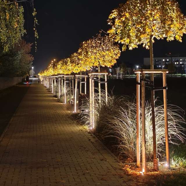 duck102の美しい写真による天気予報