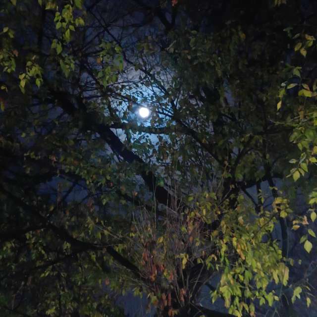 Fotos del Joven. Pronósticos del tiempo con hermosas fotos de YanBog en București