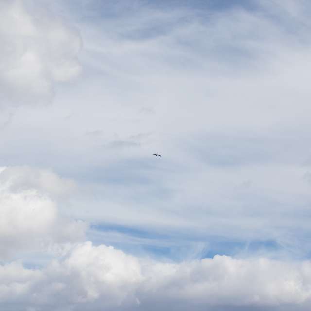 Weather forecasts with beautiful photos by Amiras