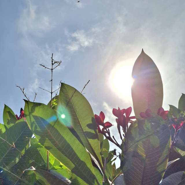 Full. Weather forecasts with beautiful photos by Wen-ya Huang Photos in Kaohsiung City