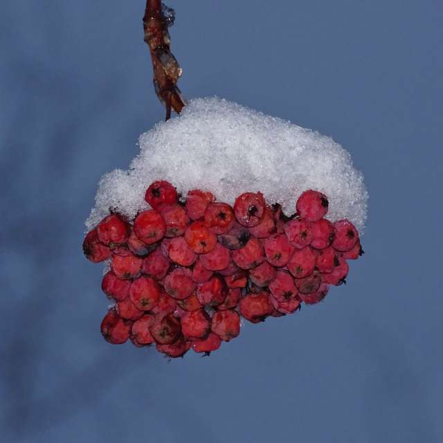 Smoke. Weather forecasts with beautiful photos by Михаил Гавриков Photos in Kharkiv