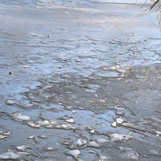 Dự báo thời tiết với những bức ảnh đẹp của Claudsch