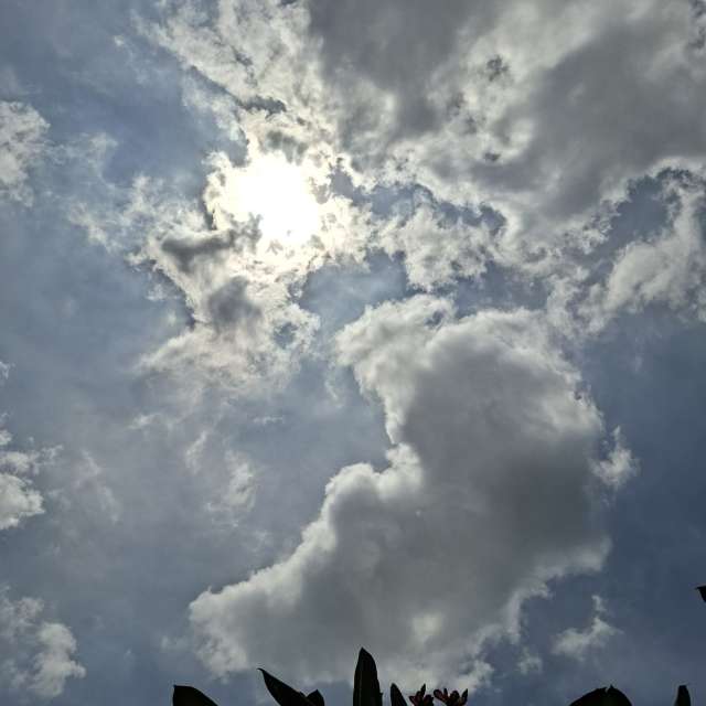 Photos Mouton. Prévisions météo avec de superbes photos de Wen-ya Huang de Kaohsiung