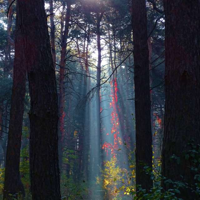 Stop. Weather forecasts with beautiful photos by Михаил Гавриков Photos in Kharkiv