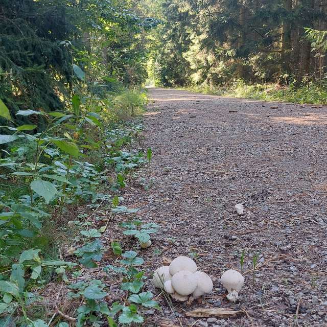 Previsões do tempo com lindas fotos de MaLou