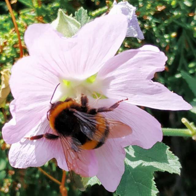 世界的天气照片. 天气预报，带Olena-13精美的照片