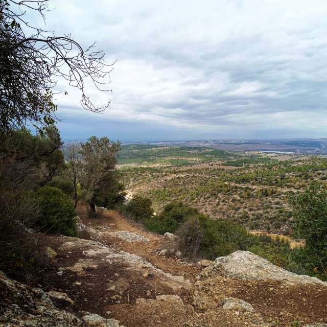 Prévisions météo avec de superbes photos de Dima  Jidkihe