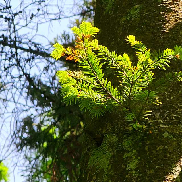 Fotos Caminho. Previsões do tempo com lindas fotos de Seni em Velbert