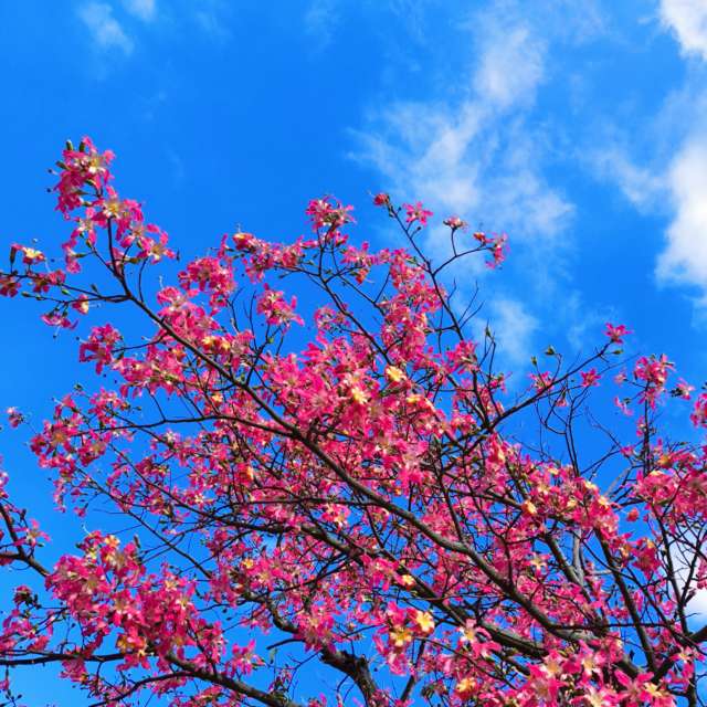Weather forecasts with beautiful photos by Takimi-sky