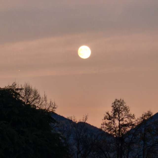 Weather forecasts with beautiful photos by PeterR