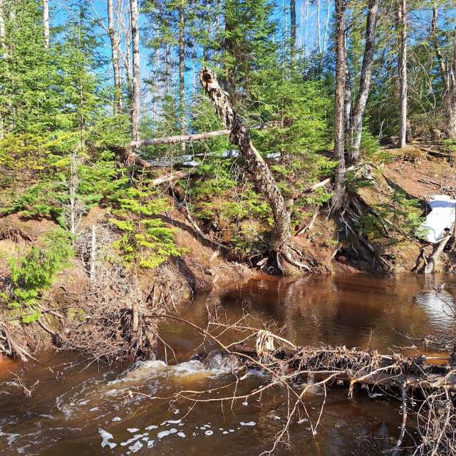 Weather forecasts with beautiful photos by NorthernMichiganBeauty