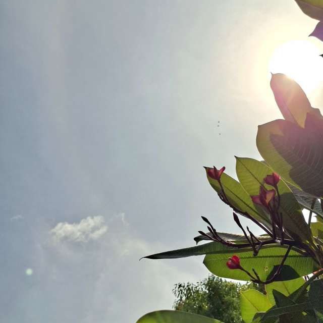 Room. Weather forecasts with beautiful photos by Wen-ya Huang Photos in Kaohsiung City