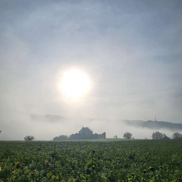Weather forecasts with beautiful photos by aida-khaldi