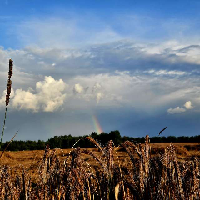Prévisions météo avec de superbes photos de KatreKal