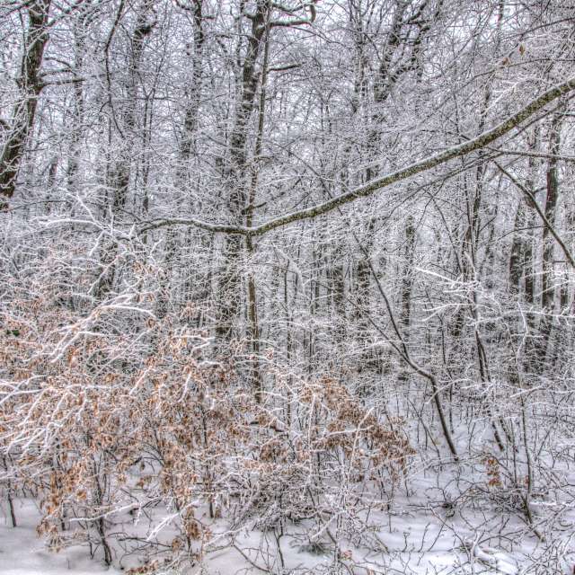 Pronósticos del tiempo con hermosas fotos de Paul57