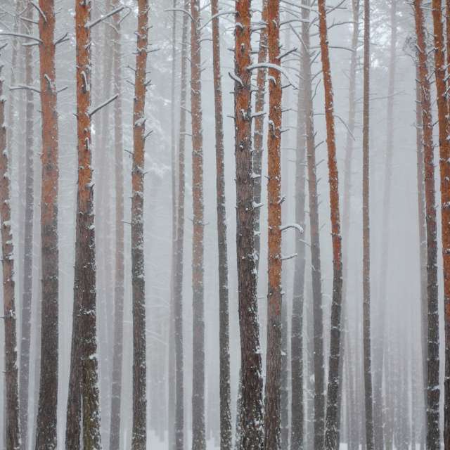 Curtain. Weather forecasts with beautiful photos by edzkn Photos in Kharkiv