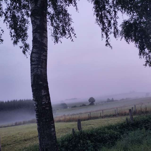 Prévisions météo avec de superbes photos de Rosaja