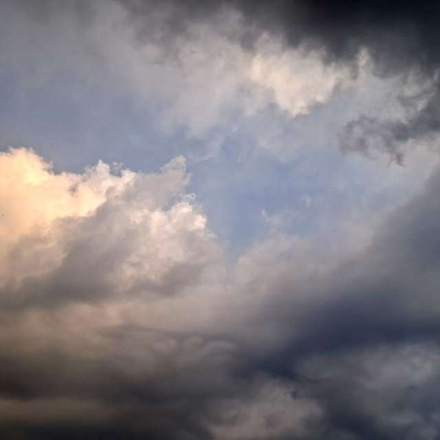 Katze. Wettervorhersagen mit schönen Fotos von Wen-ya Huang Fotos Kaohsiung