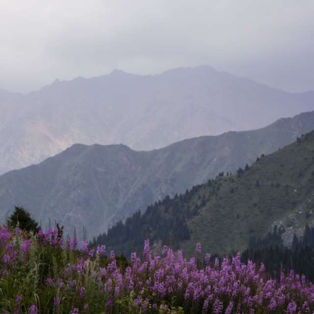 Fotos Abordado. Previsões do tempo com lindas fotos de Nymph542 em Almaty