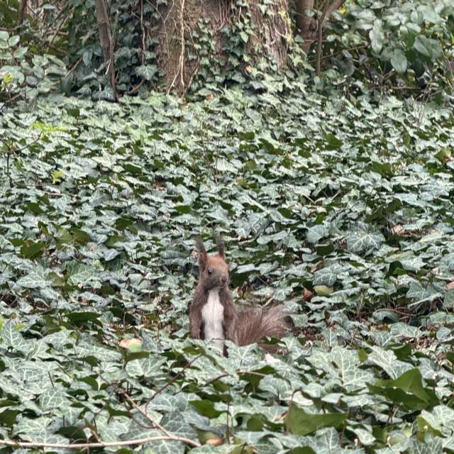 Rocky. Weather forecasts with beautiful photos by Liubomir122- Photos in World