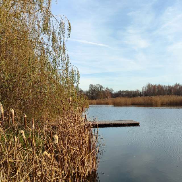 Weather forecasts with beautiful photos by Romek58