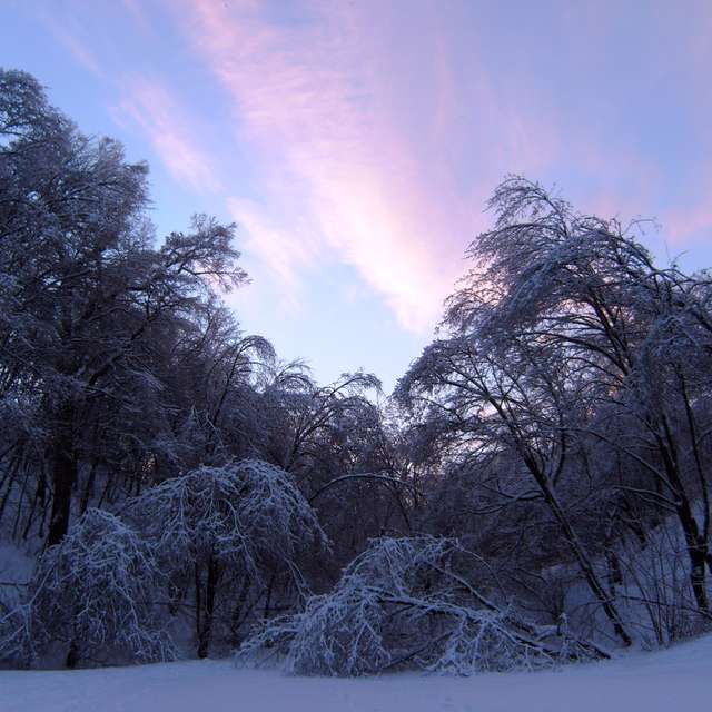 Weather. Weather forecasts with beautiful photos by Vch Photos in Moscow