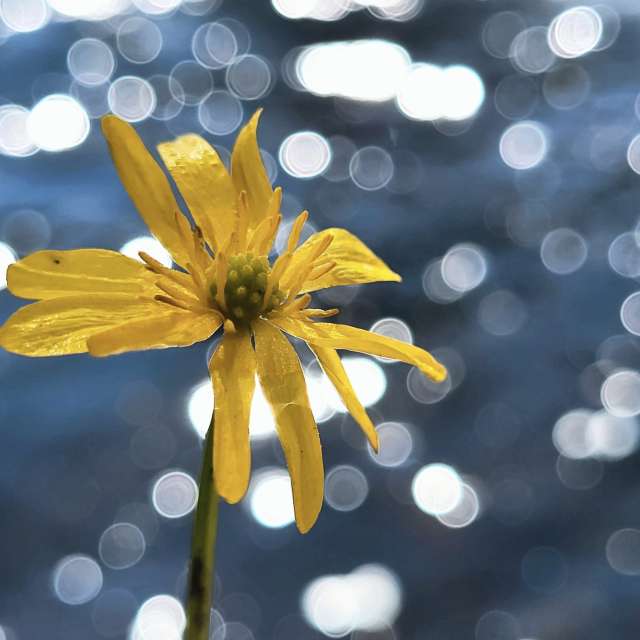 Prévisions météo avec de superbes photos de hejpetrpepa