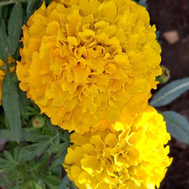 Prévisions météo avec de superbes photos de Wen-ya Huang