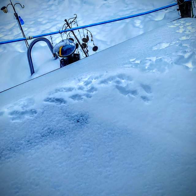 Pronósticos del tiempo con hermosas fotos de Lulu5523