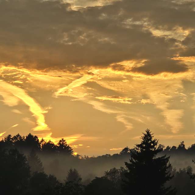 Pronósticos del tiempo con hermosas fotos de TylerDurden