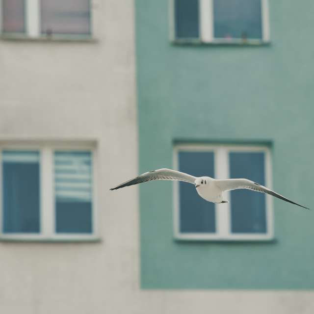 Прогнозы погоды с чудесными фотографиями, сделанными martinm611