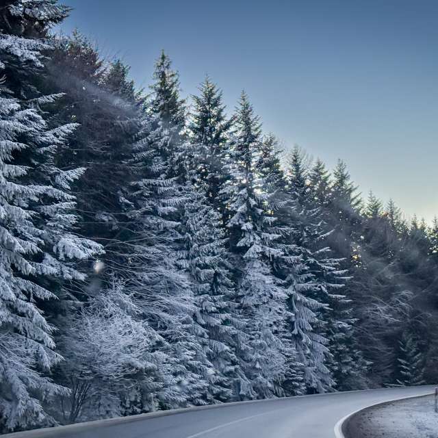 Winter. Weather forecasts with beautiful photos by LMukasz Photos in World