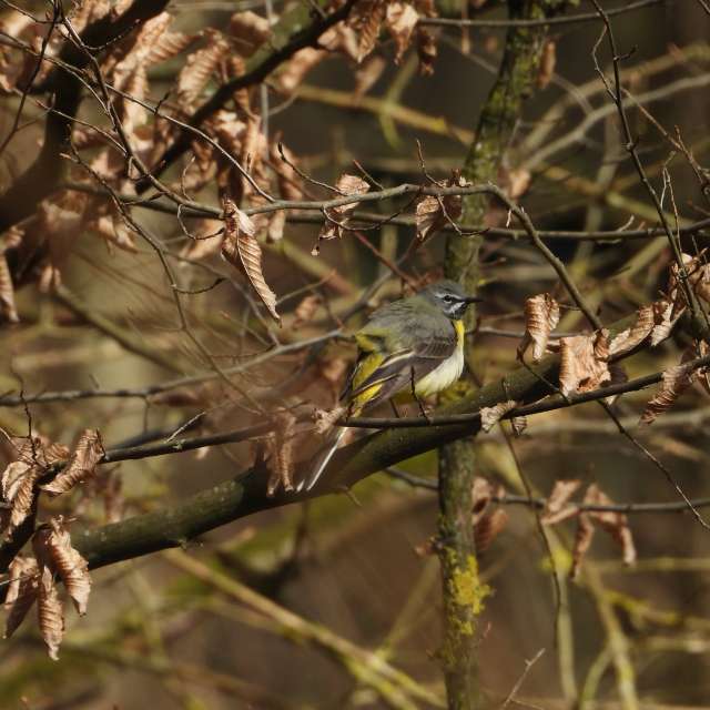 Fotos Filial. Previsões do tempo com lindas fotos de Vasek325 em Praha 12