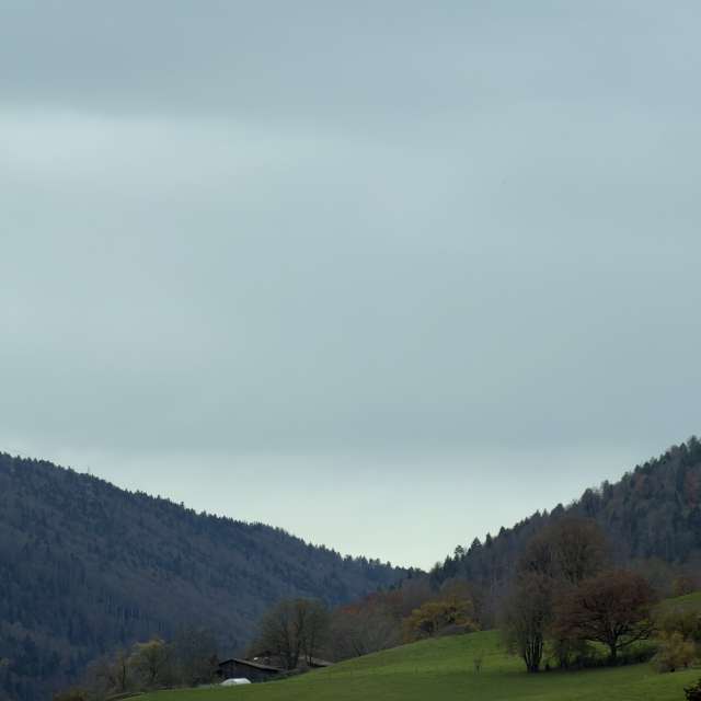 Photos Herbe. Prévisions météo avec de superbes photos de SwissEloi de Moutier