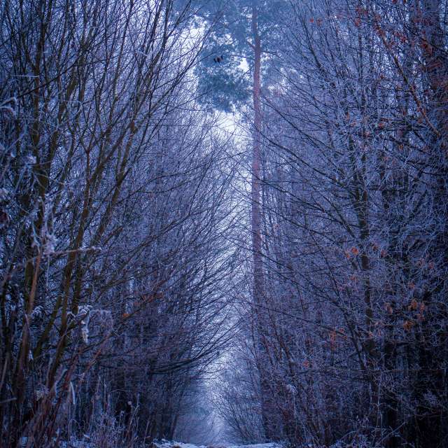 Weather forecasts with beautiful photos by _feela