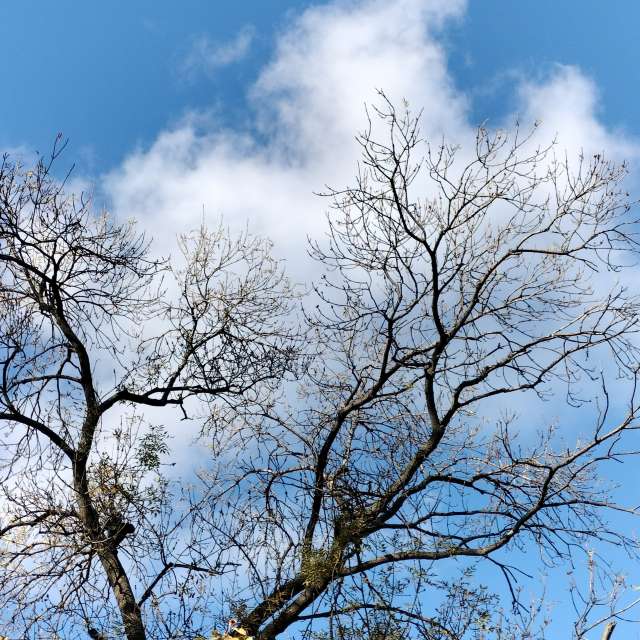 Fotos del Firmar. Pronósticos del tiempo con hermosas fotos de YanBog en București