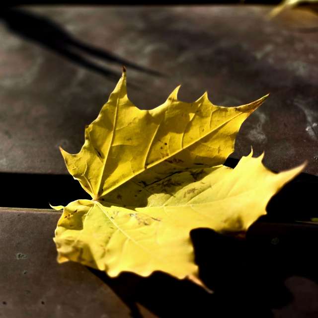 Innen. Wettervorhersagen mit schönen Fotos von Hela Fotos Bayern